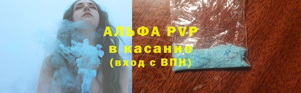 Альфа ПВП Новодвинск
