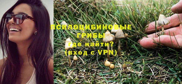 Альфа ПВП Новодвинск