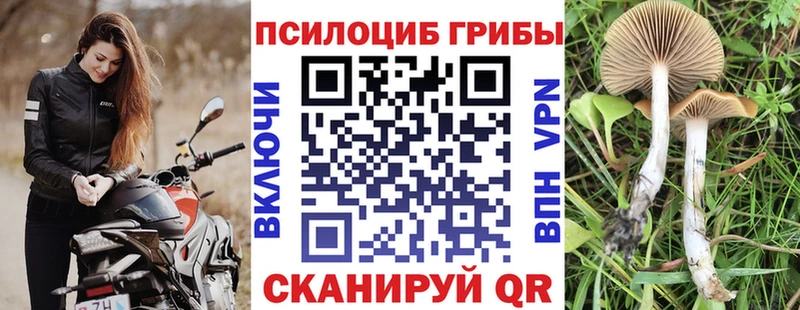 Псилоцибиновые грибы MAGIC MUSHROOMS  Новоалександровск 