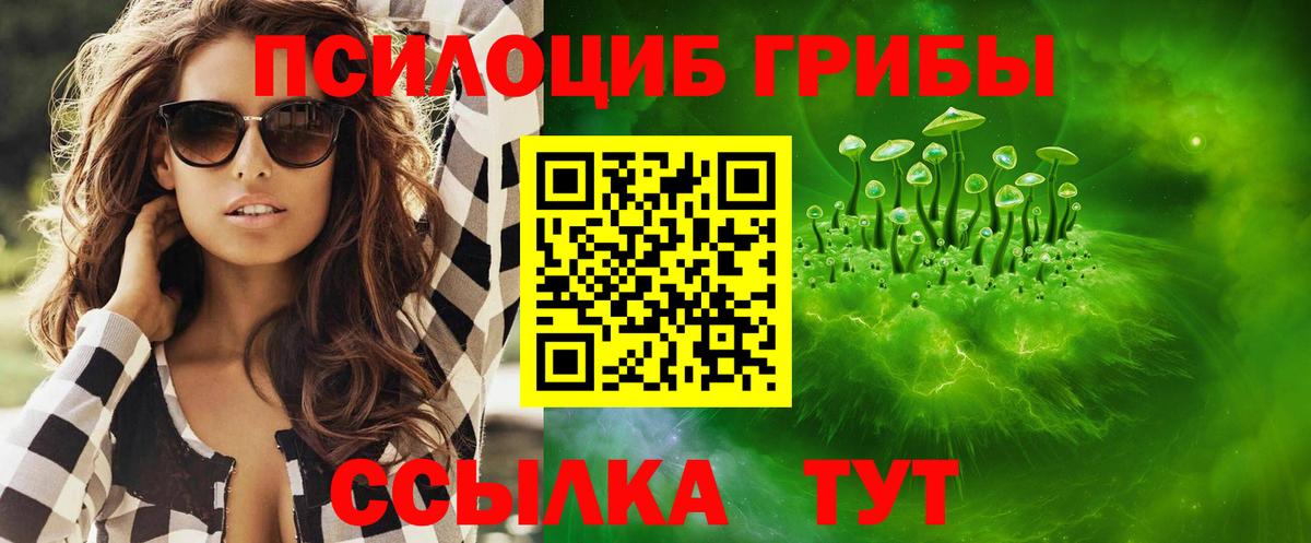 Галлюциногенные грибы Cubensis Новоалександровск