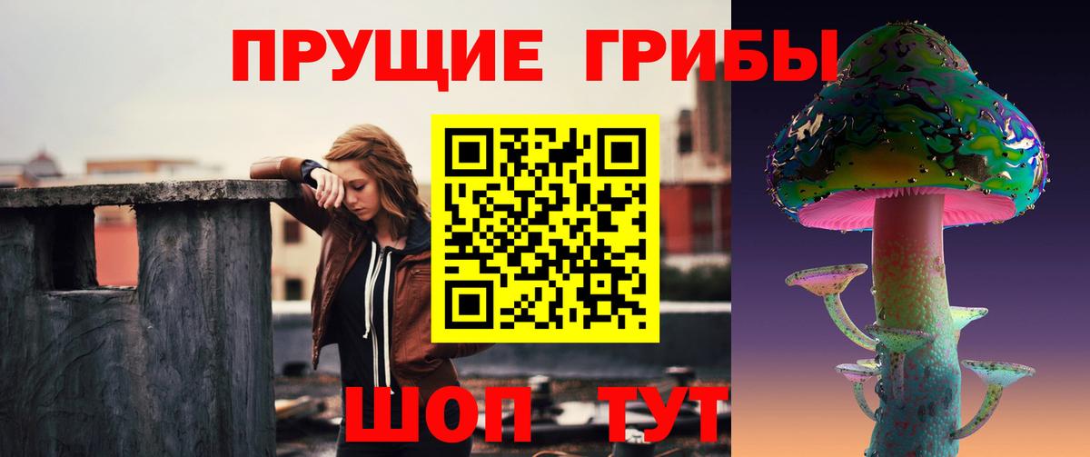 Галлюциногенные грибы Magic Shrooms  Новоалександровск 